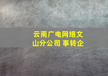 云南广电网络文山分公司 事转企